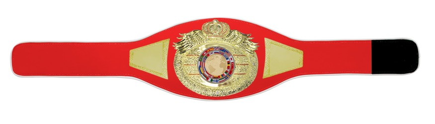 *NEW* PROICON CHAMPIONSHIP BELT/G/WHTGEM - AVAILABLE IN 6+ COLOURS